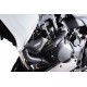 Προστατευτικά μανιτάρια PUIG Pro Honda CBF 1000 10- (χρώματα) Προστατευτικά μανιτάρια PUIG Pro Honda CBF 1000 10- (χρώματα)