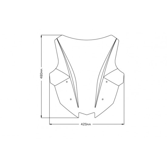 Ζελατίνα Puig Racing Kawasaki Ninja 1000 SX 20- διάφανη Ζελατίνα Puig Racing Kawasaki Ninja 1000 SX 20- διάφανη